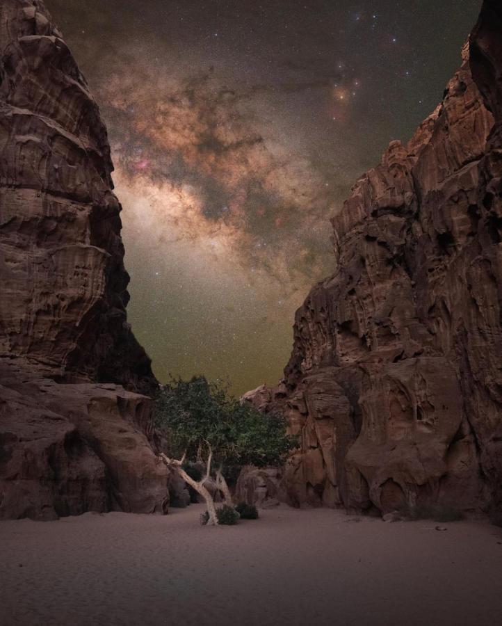Wadirum Zeid Camp&Tours Rum vádi Kültér fotó