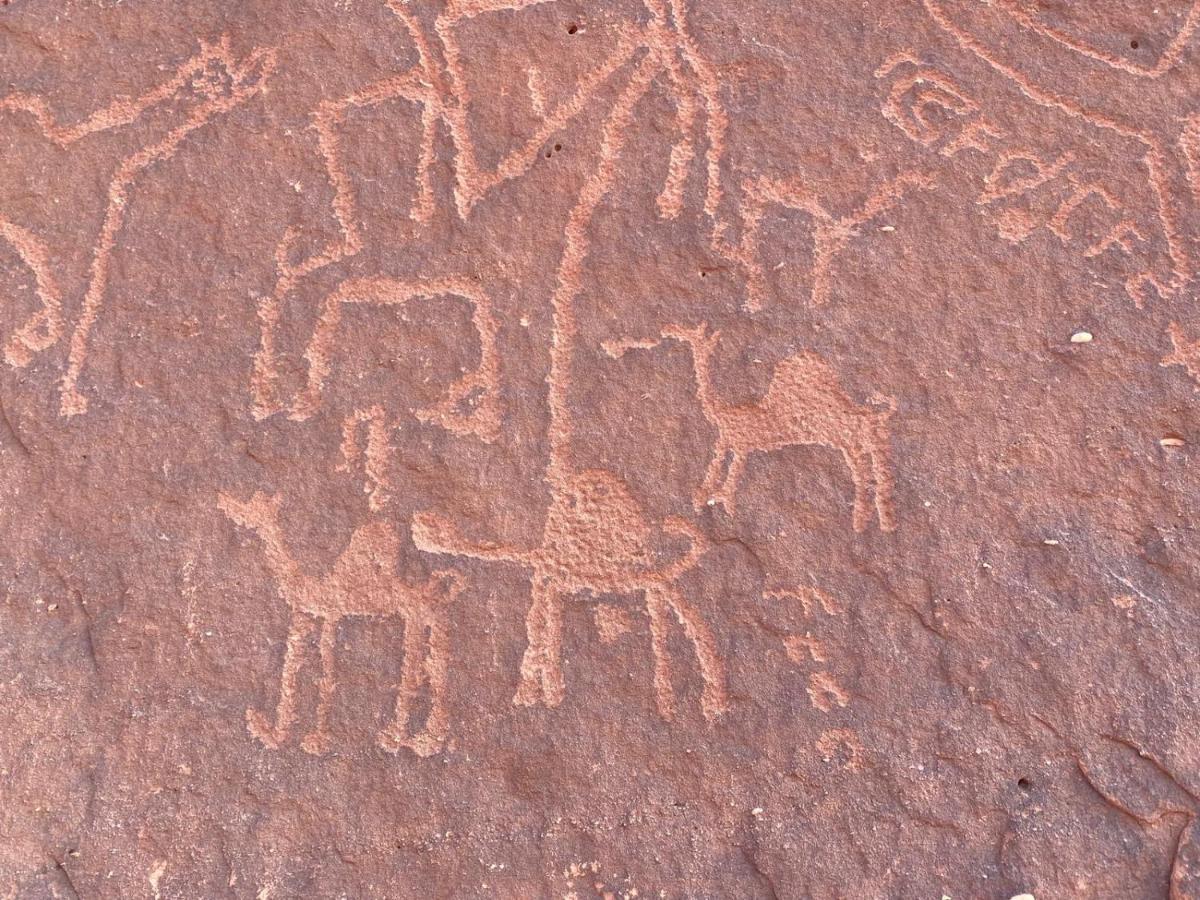 Wadirum Zeid Camp&Tours Rum vádi Kültér fotó