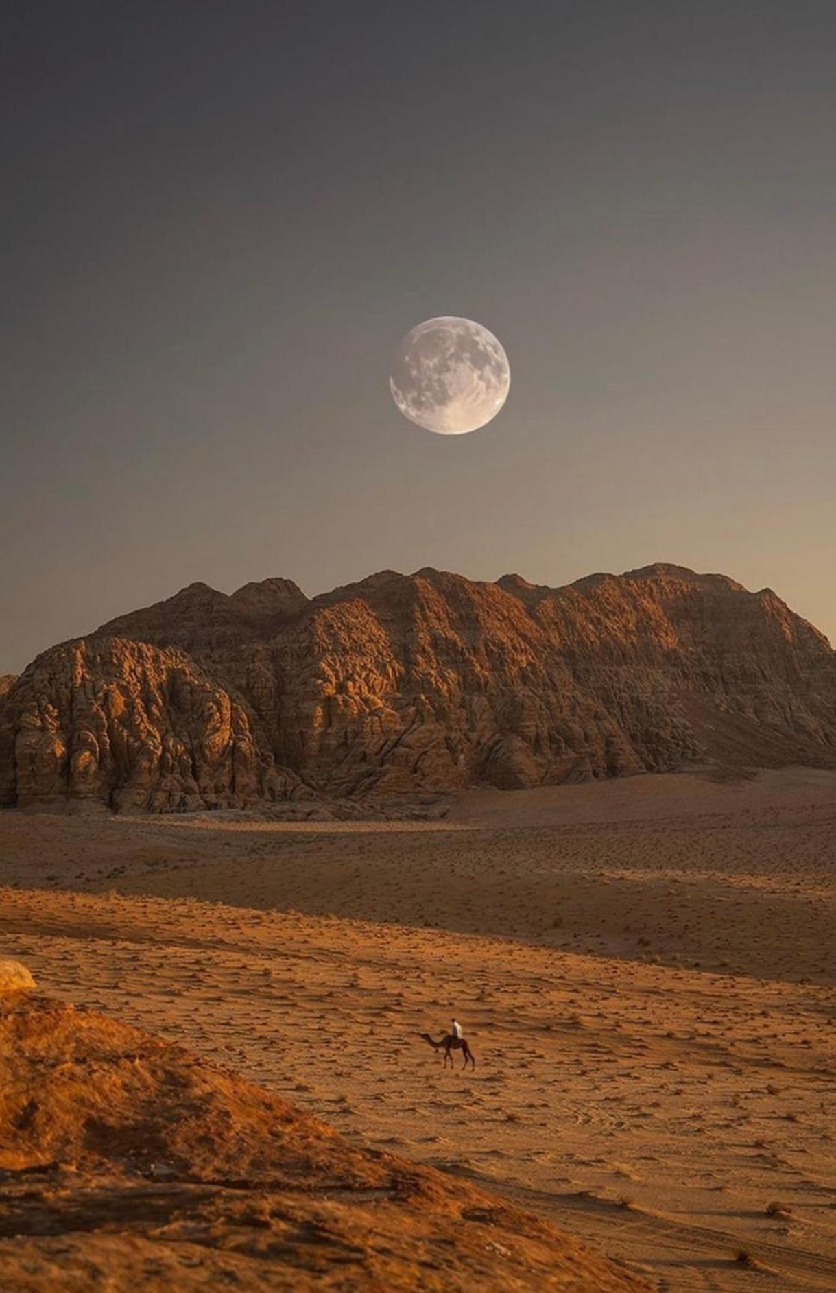 Wadirum Zeid Camp&Tours Rum vádi Kültér fotó